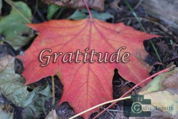 GG-Gratitude_IMG_1555-Copyright-2014